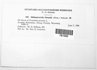 Image Associated With the Occurence